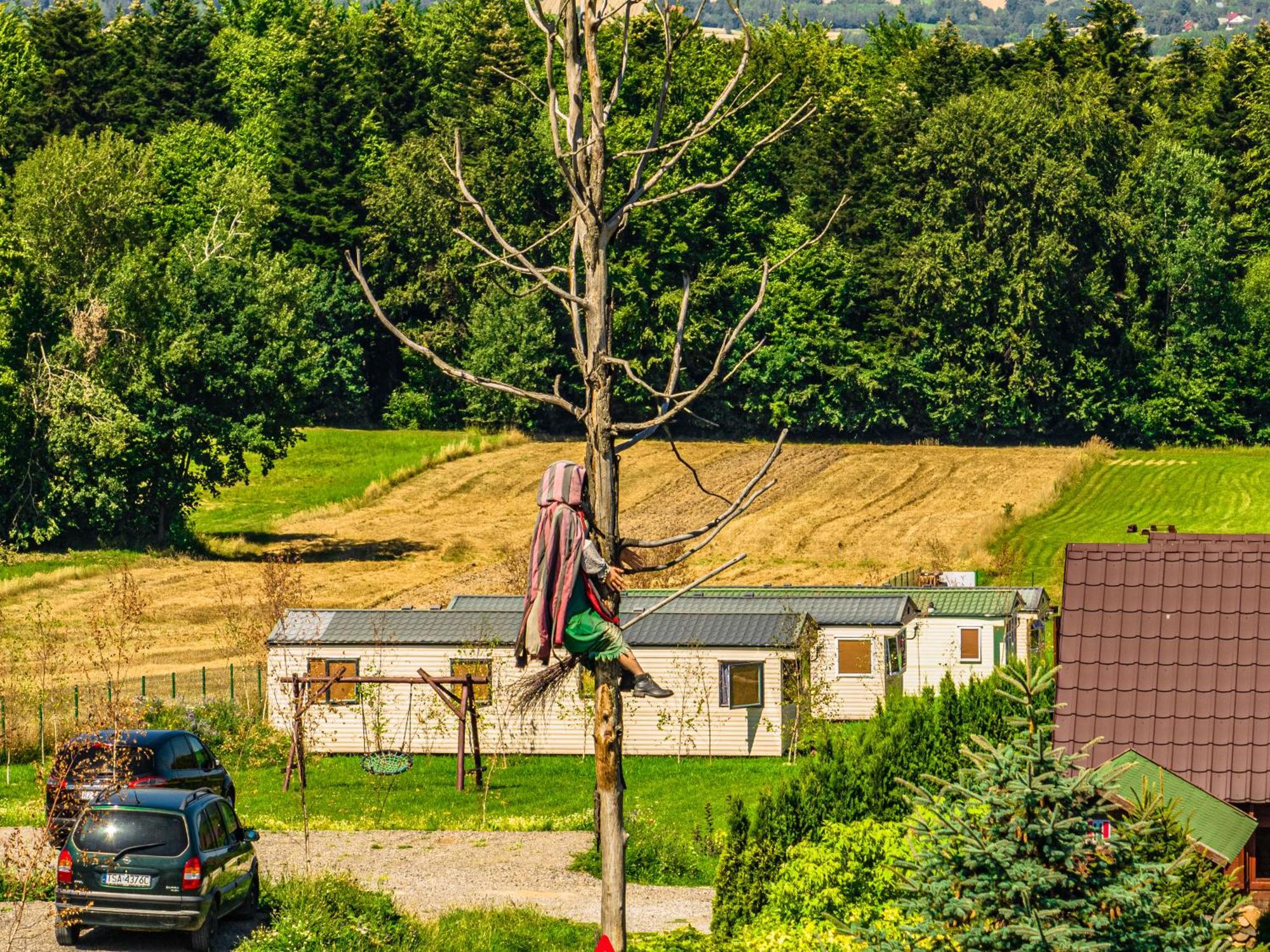 Siedlisko Carownica Family & Wellness Villa Lechów Exterior foto