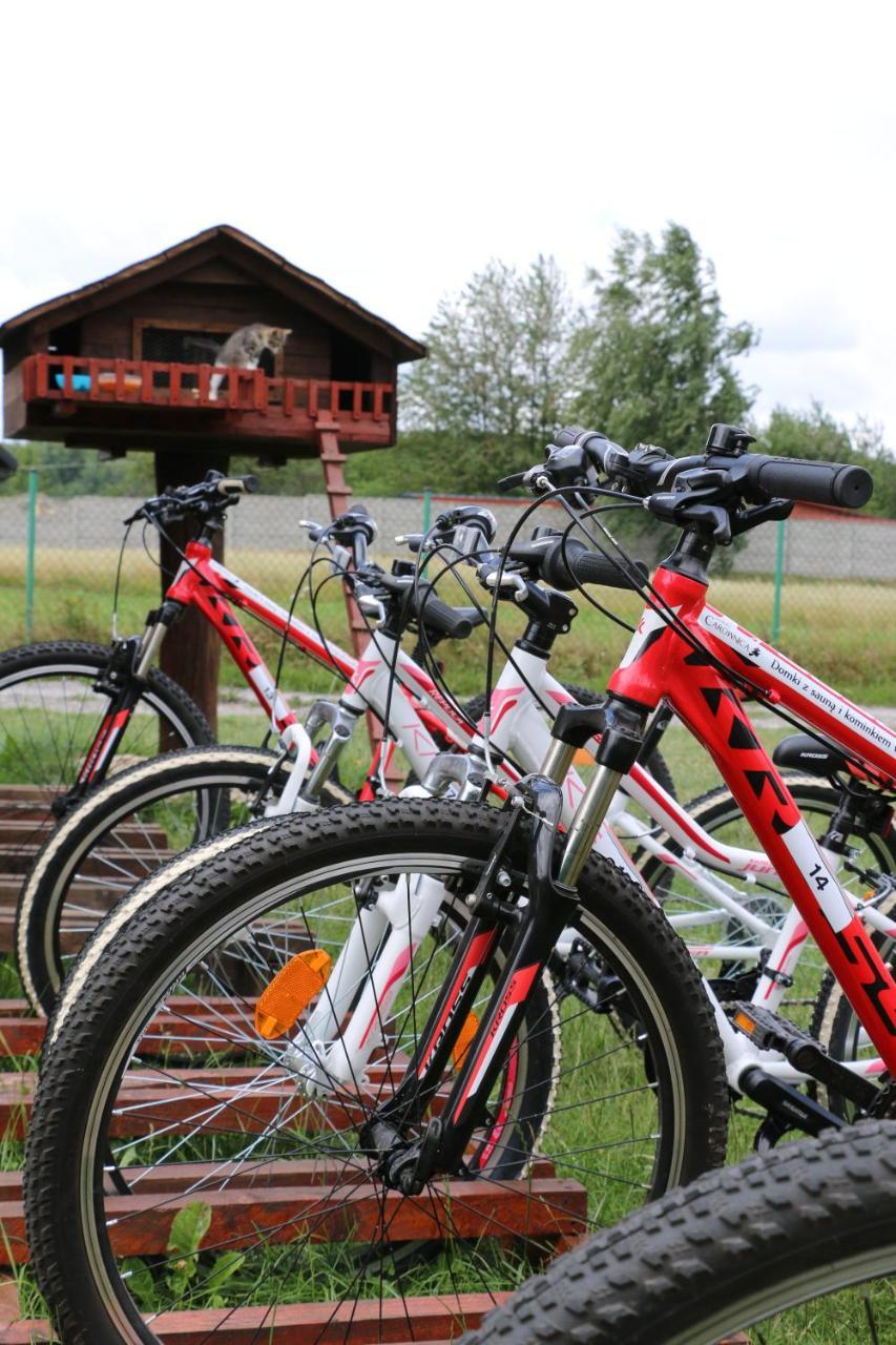 Siedlisko Carownica Family & Wellness Villa Lechów Exterior foto